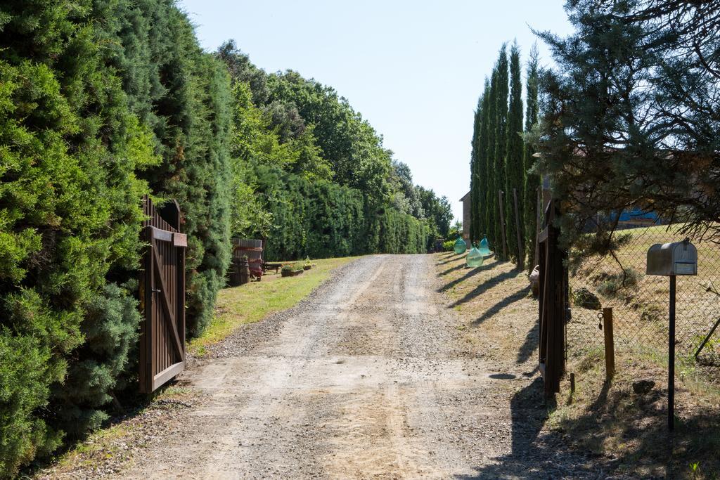 Agriturismo La Vigna Сан-Джиміньяно Екстер'єр фото